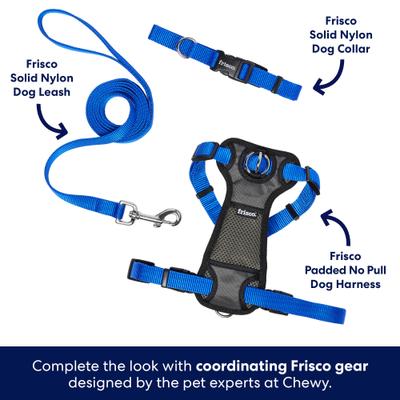 Show full view: Frisco Solid Nylon Dog Leash, Blue, Medium: 6-ft long, 3/4-in wide slide 5 of 7