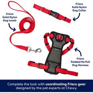 Frisco Solid Nylon Dog Leash, Red, X-Small: 6-ft long, 3/8-in wide