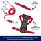 Show in main carousel: Frisco Solid Nylon Dog Leash, Red, Large: 6-ft long, 1-in wide slide 5 of 7