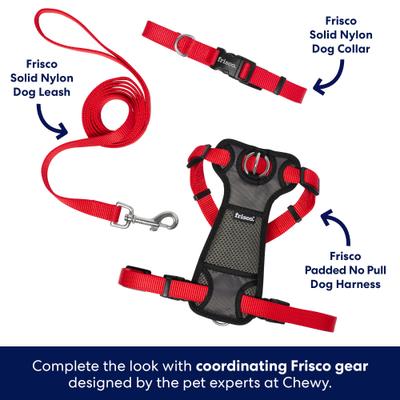 Show full view: Frisco Solid Nylon Dog Leash, Red, Large: 6-ft long, 1-in wide slide 5 of 7