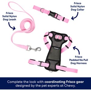 Frisco Solid Nylon Dog Collar, Pink, S: 10 to 14-in neck, 5/8-in W