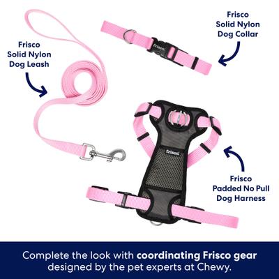 Show full view: Frisco Solid Nylon Dog Leash, Pink, X-Small: 6-ft long, 3/8-in wide slide 5 of 7