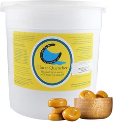 Horse Quencher Butterscotch Flavor Crumble Horse Electrolyte Supplement, 13-lb pail
