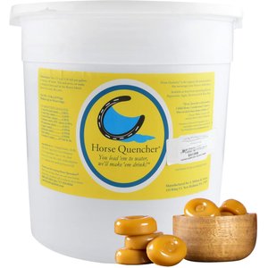 Horse Quencher Butterscotch Flavor Crumble Horse Electrolyte Supplement, 13-lb pail