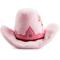 Show in main carousel: Haute Diggity Dog Cowgirl Hat Squeaky Plush Dog Toy, Pink slide 3 of 3