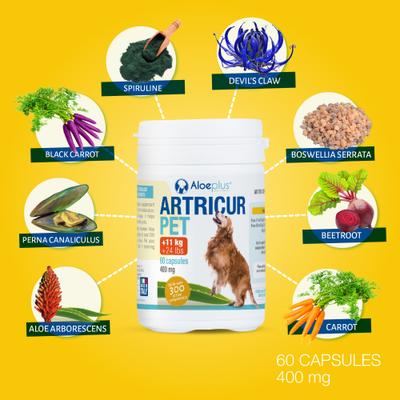 Show full view: Aloeplus Artricur Joint Health Capsule Supplement for Medium & Large Dogs, 60 count slide 8 of 8