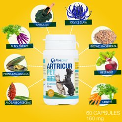 Aloeplus Artricur Joint Health Capsule Supplement for Small Dogs, 60 count slide 2 of 7