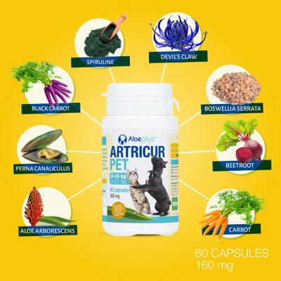 Show full view: Aloeplus Artricur Joint Health Capsule Supplement for Small Dogs, 60 count slide 8 of 8
