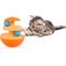 Show in main carousel: allforpaws Mordern Cat Wobble Track'ball Cat Toy slide 9 of 9