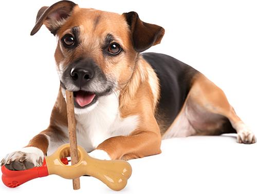 Show full view: allforpaws Bone Appetite Bully Stick Holder Dog Toy slide 8 of 9