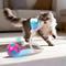 Show in main carousel: allforpaws Modern Cat Spin’A’Goal Turbo Tail Cat Toy slide 9 of 10