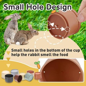 Fashion's Talk Foraging Puzzle Stacking Cups Mental Stimulation Small Pet Toy