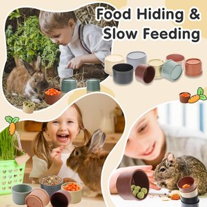 Fashion's Talk Foraging Puzzle Stacking Cups Mental Stimulation Small Pet Toy