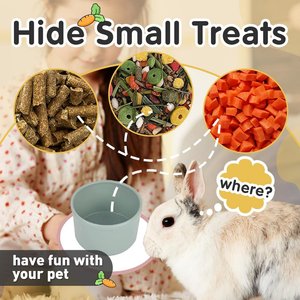 Fashion's Talk Foraging Puzzle Stacking Cups Mental Stimulation Small Pet Toy
