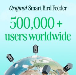 Bird Buddy Smart Solar Pro Hummingbird Feeder with Camera & Extra Base slide 2 of 8