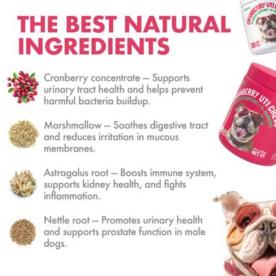 Show full view: Legitpet Cranberry UTI Soft Chew Bladder Support Supplement for Dogs, 120 count slide 7 of 11
