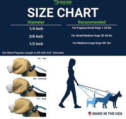 Mad Dog Products English Slip Lead Signature Rope Dog Leash, Rainbow, 10-ft long, 1/2-in wide slide 2 of 6