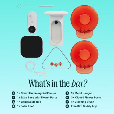 Show full view: Bird Buddy Smart Solar Pro Hummingbird Feeder with Camera & Extra Base slide 8 of 10