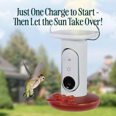 Show full view: Bird Buddy Smart Solar Pro Hummingbird Feeder with Camera & Extra Base slide 6 of 10