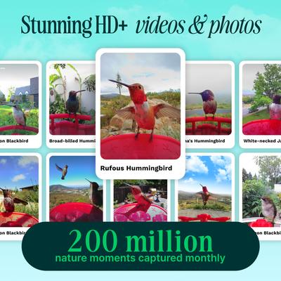 Show full view: Bird Buddy Smart Solar Pro Hummingbird Feeder with Camera & Extra Base slide 4 of 10