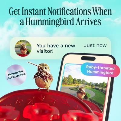 Show full view: Bird Buddy Smart Solar Pro Hummingbird Feeder with Camera & Extra Base slide 2 of 10