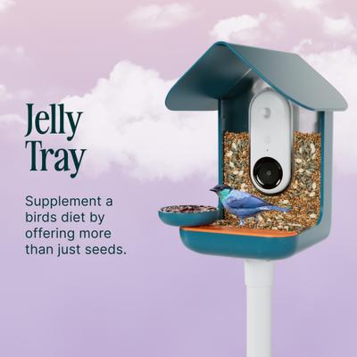 Show full view: Bird Buddy 3-in-1 Nutrition Set Wild Bird Feeder Accessory slide 6 of 7