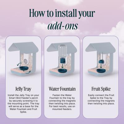 Show full view: Bird Buddy 3-in-1 Nutrition Set Wild Bird Feeder Accessory slide 2 of 7