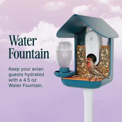 Show full view: Bird Buddy 3-in-1 Nutrition Set Wild Bird Feeder Accessory slide 4 of 7