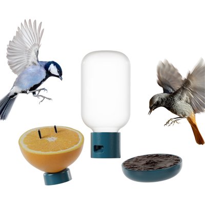 Bird Buddy Bird Buddy 3-in-1 Nutrition Set Wild Bird Feeder Accessory