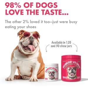 Legitpet Cranberry UTI Soft Chew Bladder Support Supplement for Dogs, 120 count