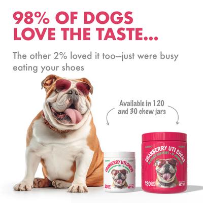 Show full view: Legitpet Cranberry UTI Soft Chew Bladder Support Supplement for Dogs, 120 count slide 5 of 11