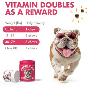 Legitpet Cranberry UTI Soft Chew Bladder Support Supplement for Dogs, 120 count