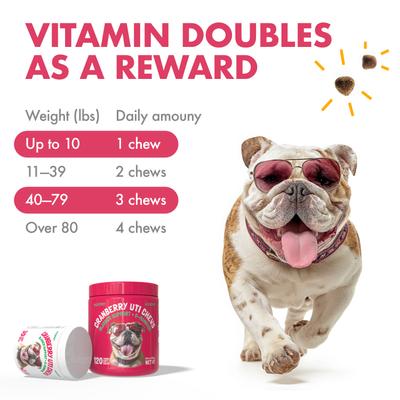Show full view: Legitpet Cranberry UTI Soft Chew Bladder Support Supplement for Dogs, 120 count slide 6 of 11