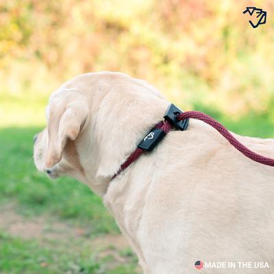 Show full view: Mad Dog Products English Slip Lead Signature Rope Dog Leash, Red, 10-ft long, 1/2-in wide slide 5 of 6