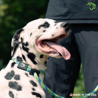 Show full view: Mad Dog Products English Slip Lead Signature Rope Dog Leash, Black, 4-ft long, 1/2-in wide slide 4 of 6