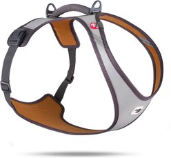 Curli Glow Belka Dog Harness, Gray, X-Large: 21.82 to 24.68-in chest slide 1 of 4