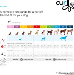 Curli Glow Belka Dog Harness, Gray, X-Large: 21.82 to 24.68-in chest slide 2 of 4