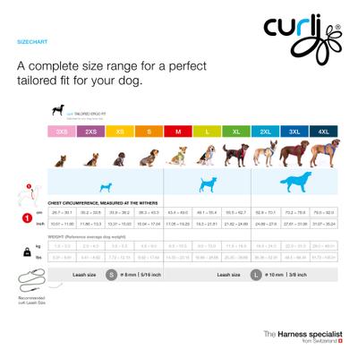 Show full view: Curli Alpine Belka Dog Harness, Gray, XXX-Large: 27.61 to 31.06-in chest slide 4 of 4