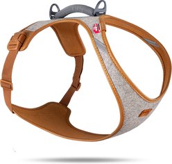 Curli Alpine Belka Dog Harness, Gray, XXXX-Large: 31.07 to 35.24-in chest