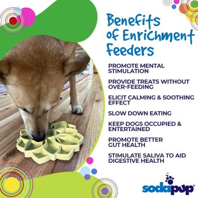 Show full view: SodaPup Mandala Softie Dog Slow Feeder, Light Green, 1.5-cup slide 4 of 8