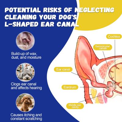 Show full view: Ninibabie Dog Ear Hair Powder, 25-g bottle slide 6 of 6