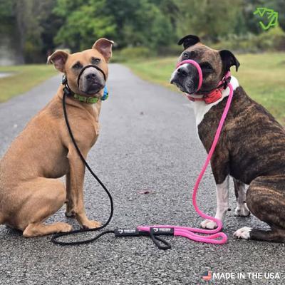 Show full view: Mad Dog Products Signature Rope Easy Leader Slip Lead Dog Leash, Aqua, 6-ft long, 1/2-in wide slide 4 of 5