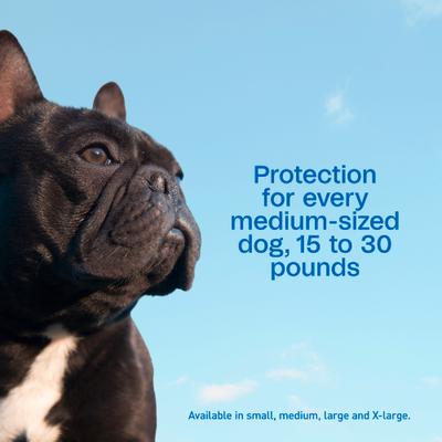 Show full view: Adams Flea & Tick Spot Treatment for Medium Breed Dogs, 15-30 lbs, 3 Doses (3-mos. supply) slide 5 of 11