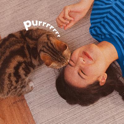 Show full view: Adams Plus Flea & Tick Spot Treatment for Cats over 5 lbs, 3 Doses (3-mos. supply) slide 6 of 12