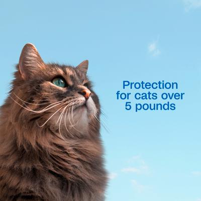 Show full view: Adams Plus Flea & Tick Spot Treatment for Cats over 5 lbs, 3 Doses (3-mos. supply) slide 5 of 12