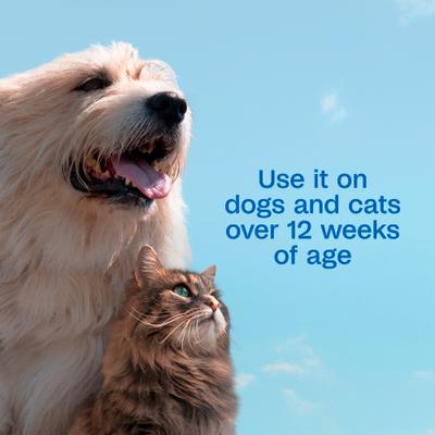 Show full view: Adams Plus Pyrethrin Dip for Dogs & Cats, 4-fl oz bottle slide 5 of 14