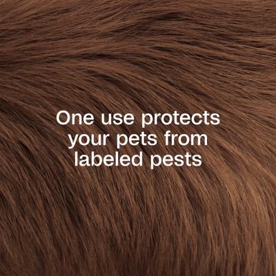 Show full view: Adams Plus Pyrethrin Dip for Dogs & Cats, 4-fl oz bottle slide 3 of 14