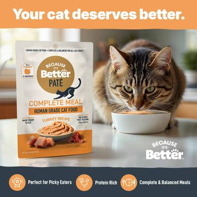 Show full view: Because It's Better Complete Meal Turkey Recipe Pate Wet Cat Food, 2.6-oz pouch, case of 12 slide 4 of 9
