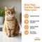 Show in main carousel: Because It's Better Complete Meal Turkey Recipe Pate Wet Cat Food, 2.6-oz pouch, case of 12 slide 3 of 9