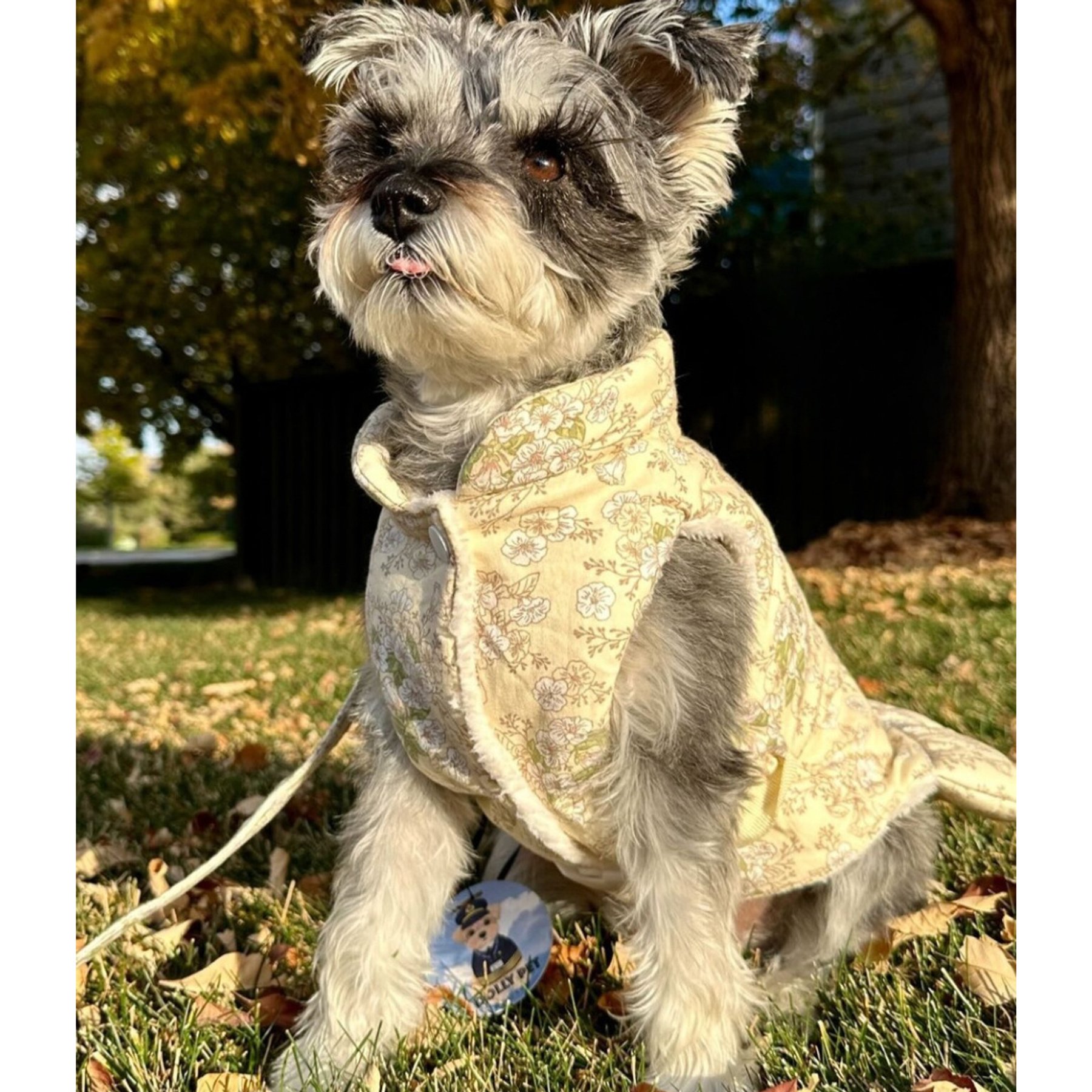 Dolly Pet Plum Blossom Winter Outfit Dog Dress, Medium